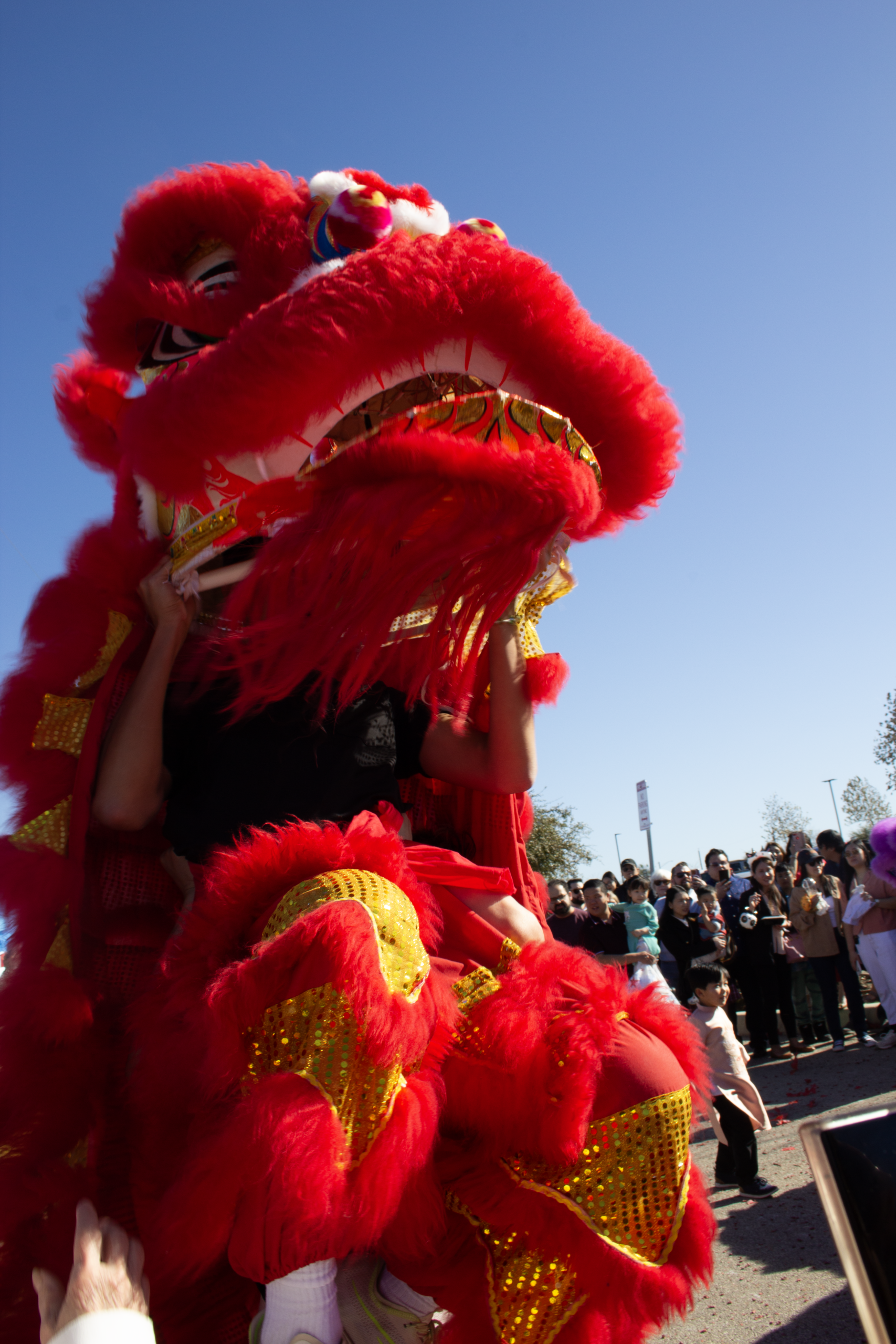 Lunar New Year Festival 2026