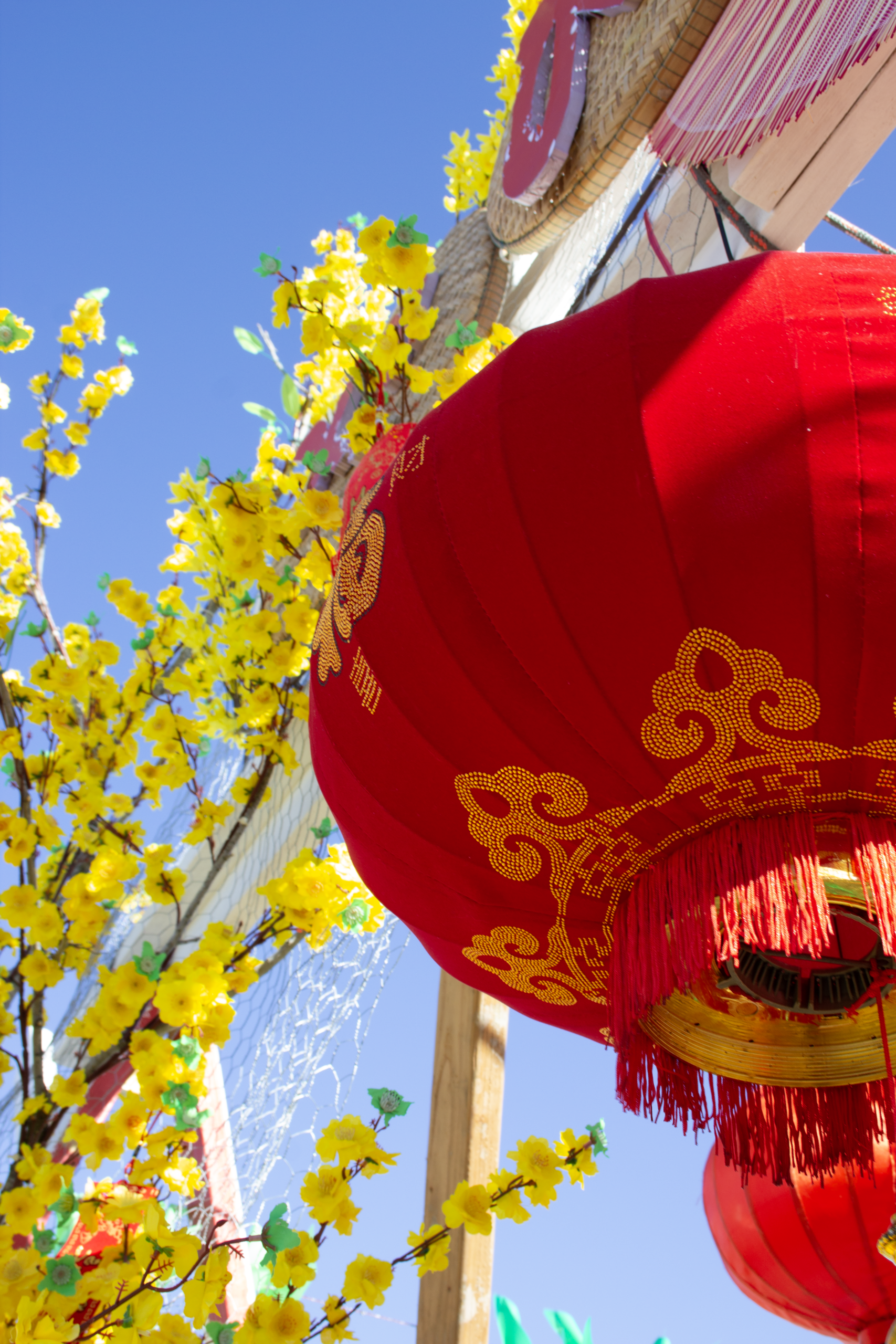 Lunar New Year Festival 2026